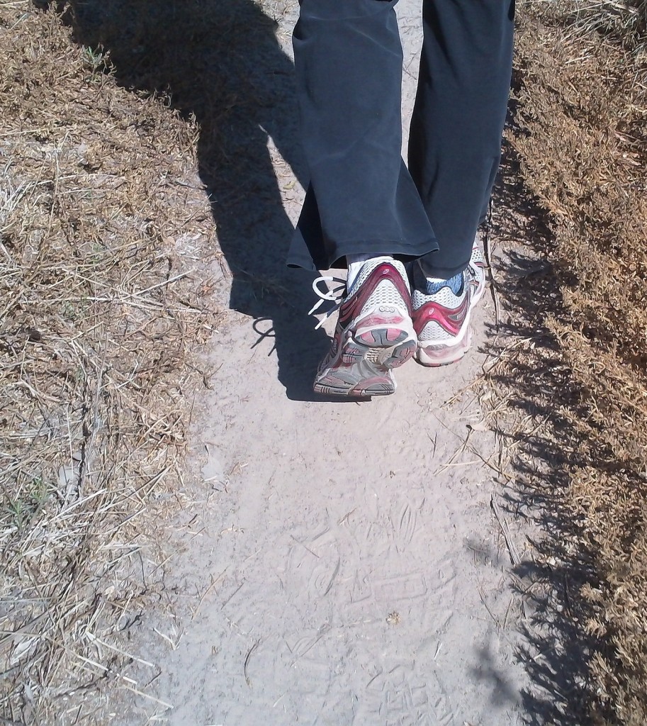Walk for exercise