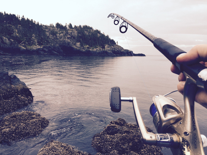 Notes From a Local Angler: Capital Region Fishing Hotspots
