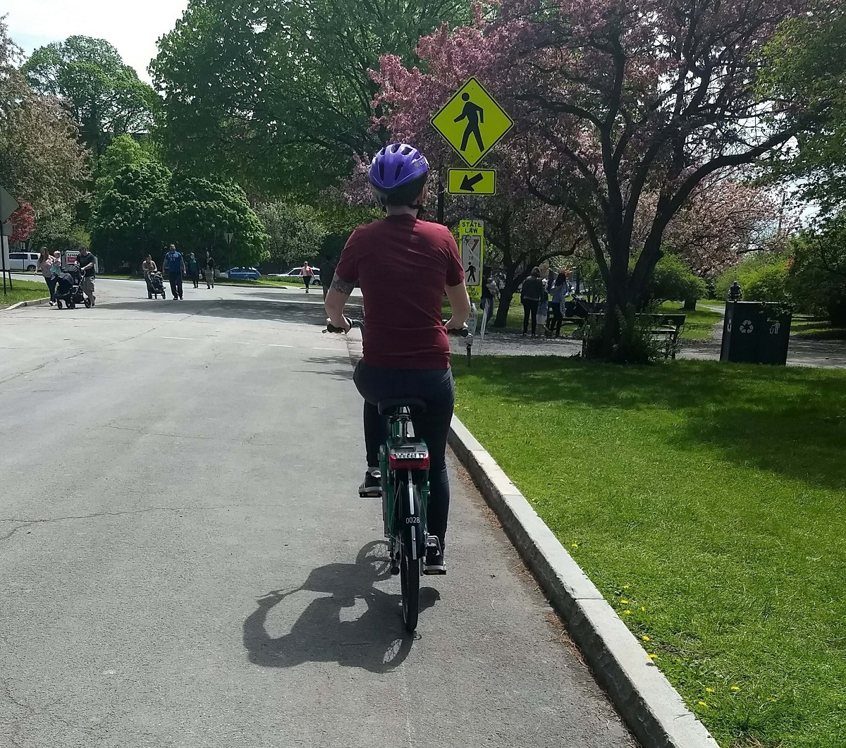 Riding a CDPHP Cycle bike through Albany